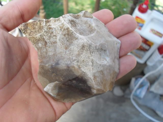 SDC10439.jpg