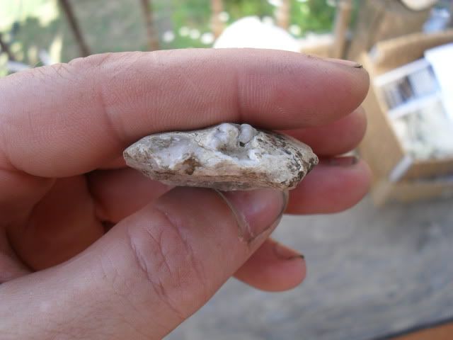 SDC10548.jpg