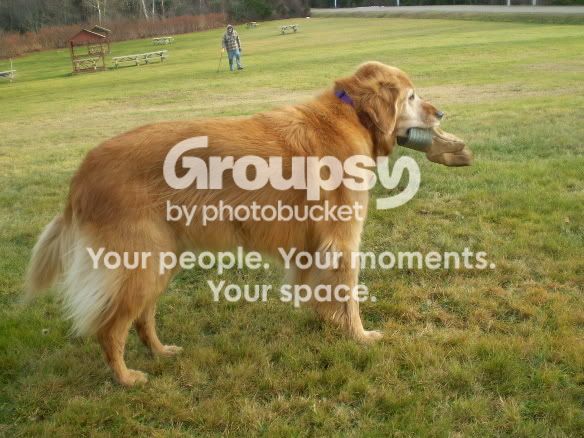 lucy.jpg