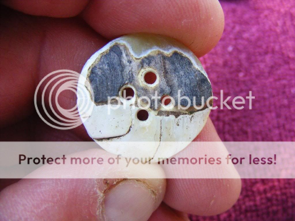 2009_0805button0006.jpg