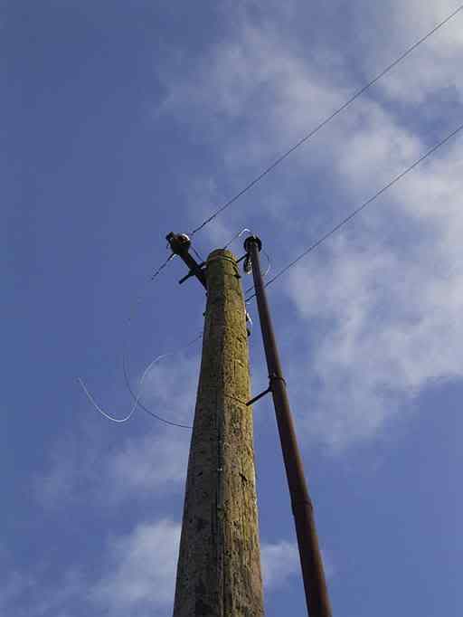 8Feb09WBRRTpoleup.jpg