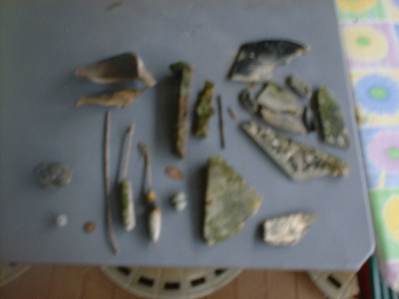 81312beachfinds.jpg