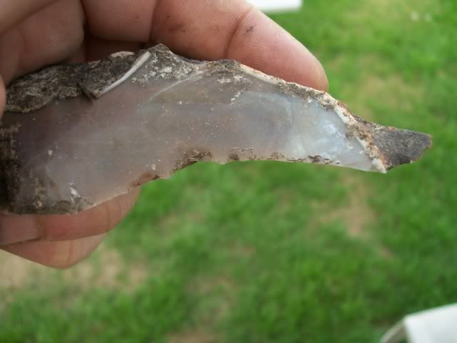 100_0611.jpg