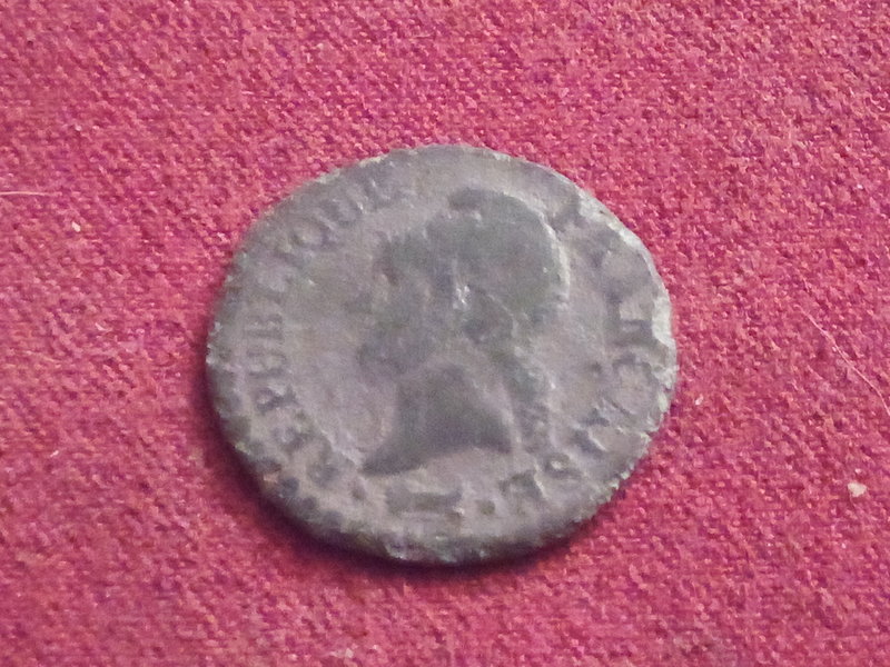 31394514di.jpg