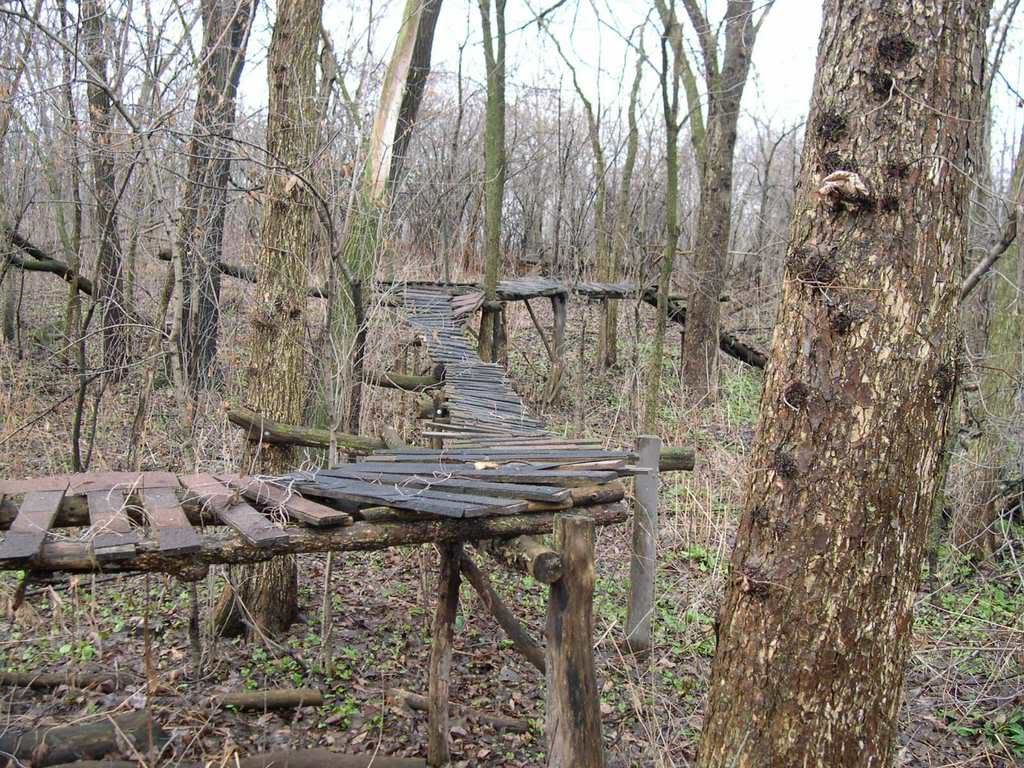 CCFP_walkway2.jpg