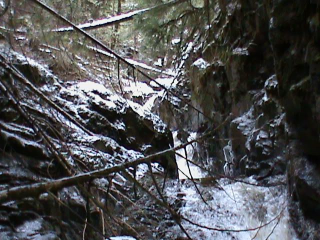 DSC00196.jpg