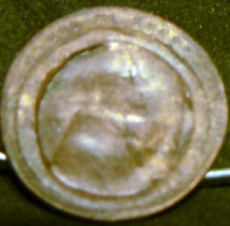 17165610.jpg