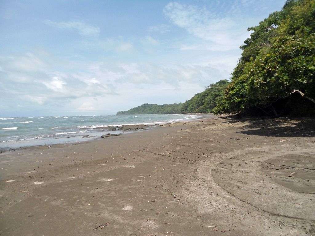 DSC00627.jpg