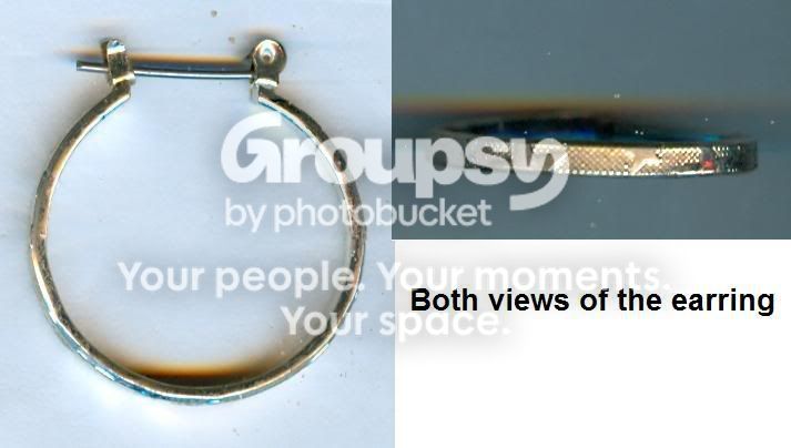 earring080108.jpg