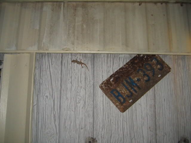 IMG_6024.jpg
