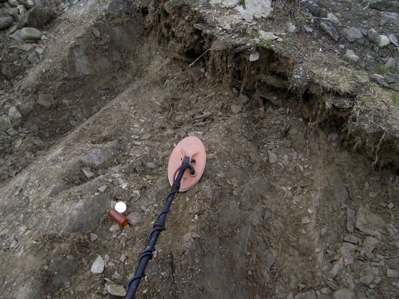 tobinstailingsgold1.jpg