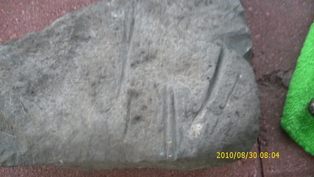 DSCI0005-2.jpg