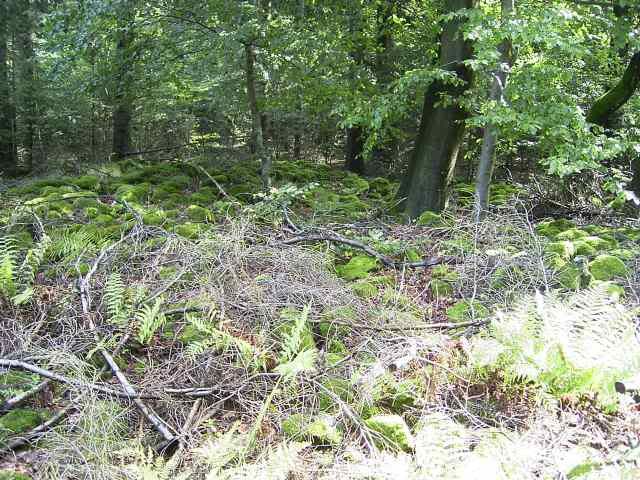27Aug10Cgrave.jpg
