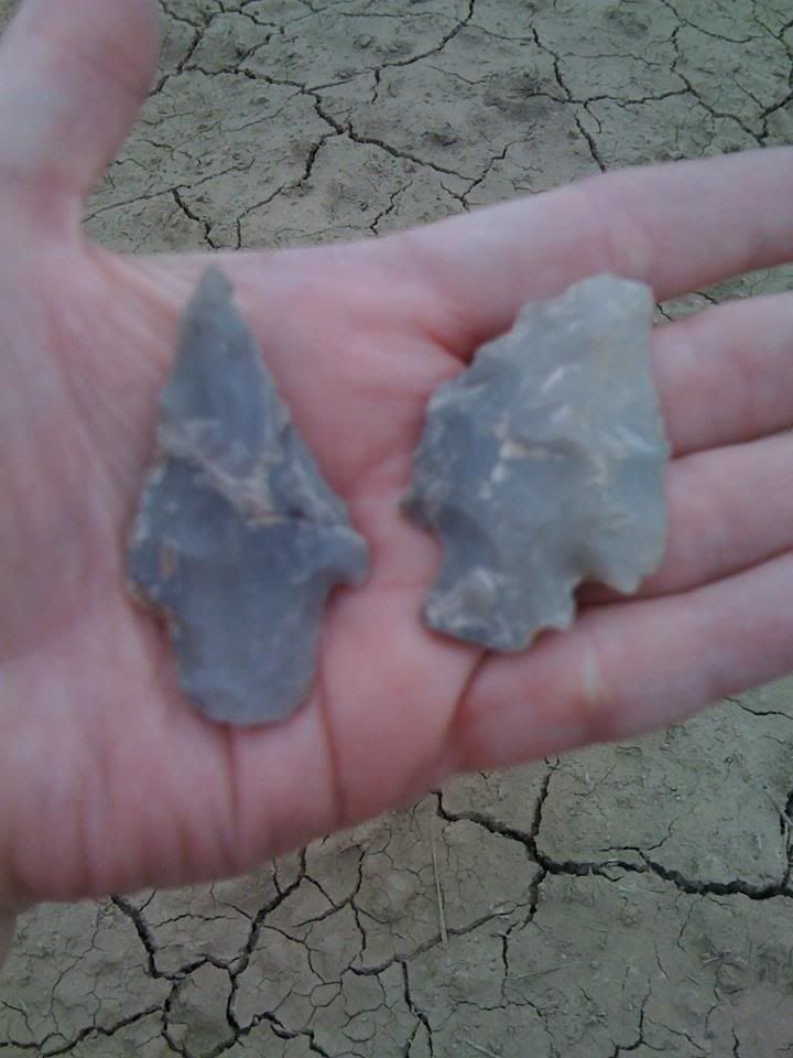 arrowhead3.jpg
