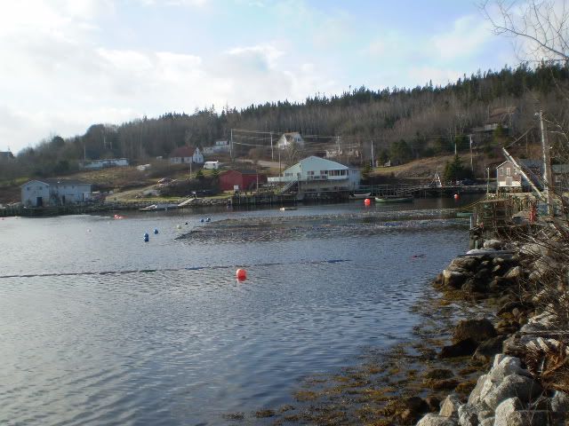 P5230001.jpg