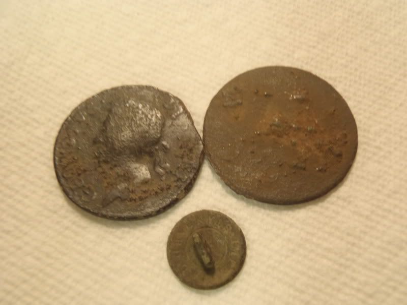 PB100265.jpg