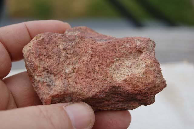 AprilFinds021.jpg