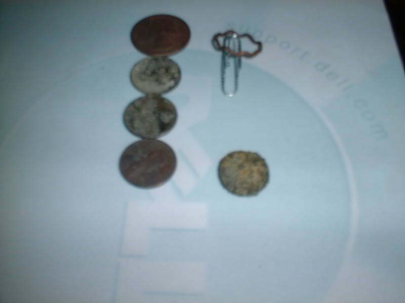 090808beachfinds.jpg