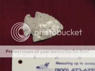 a019.jpg