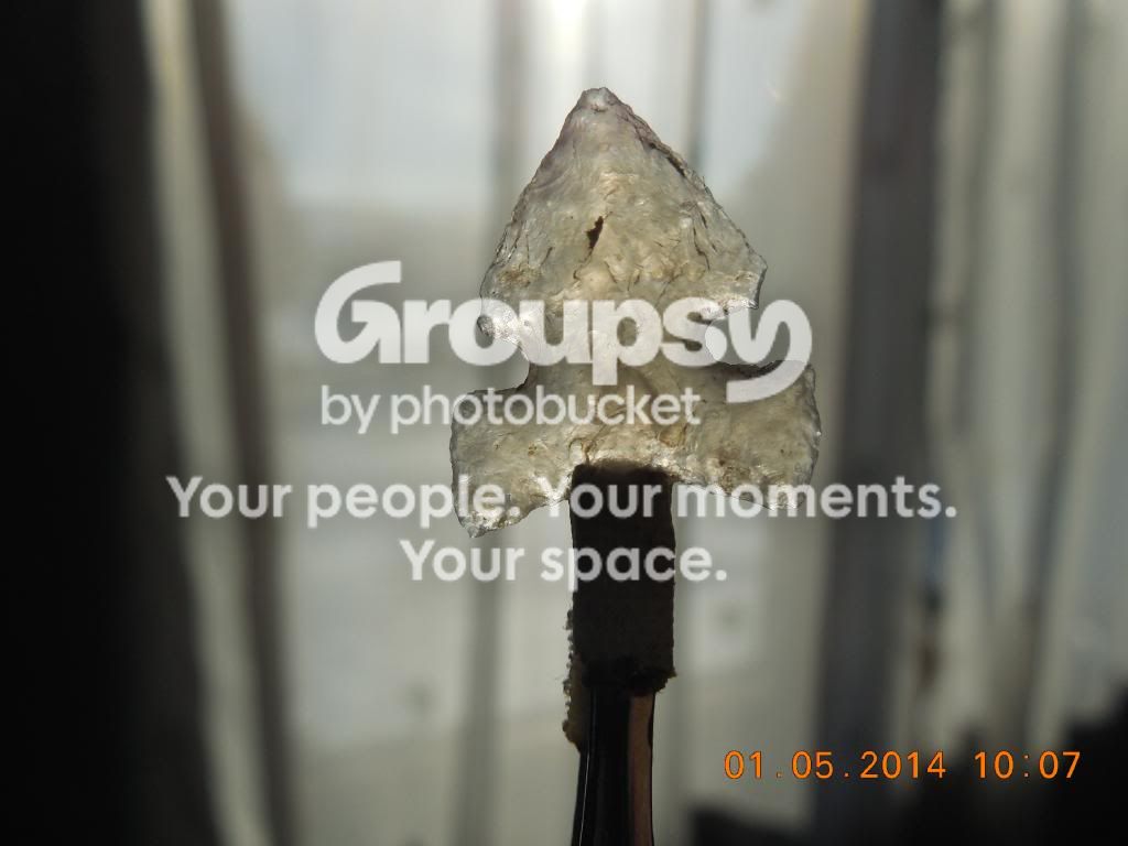 DSCN3663.jpg