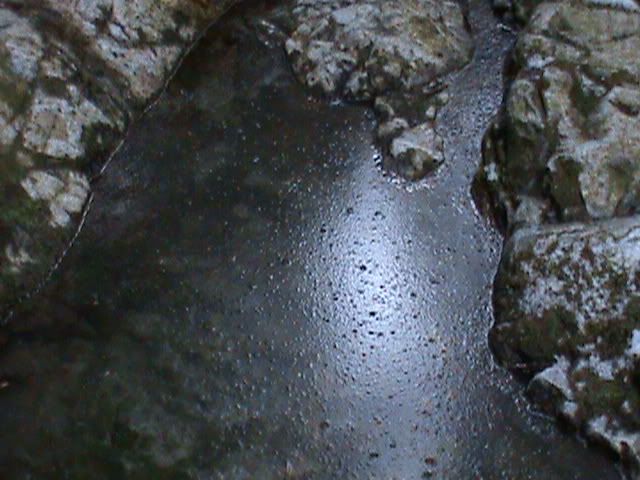 DSC00197.jpg