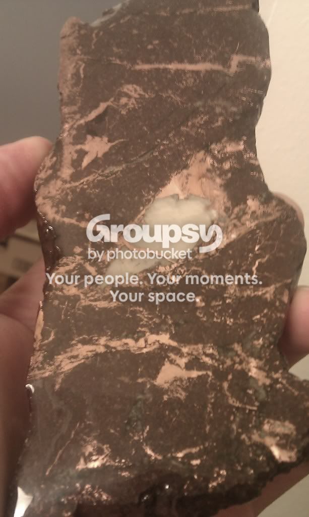 IMAG0333.jpg