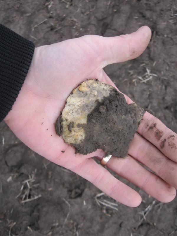 02-27-2009fieldhunt013.jpg