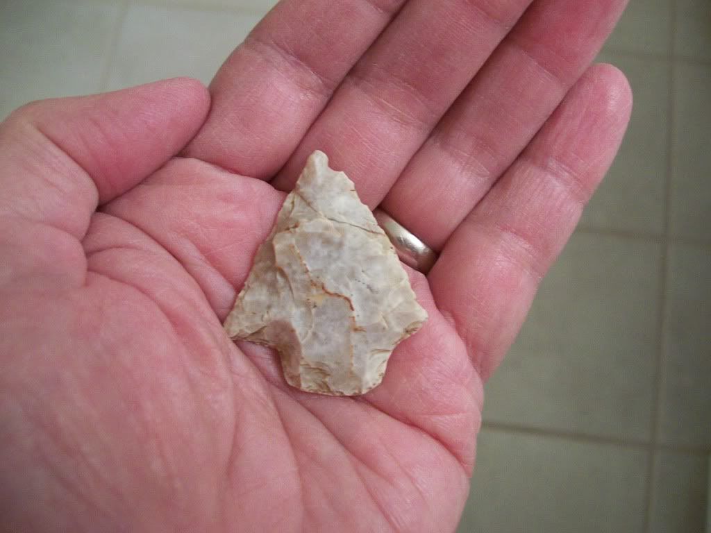 100_4418.jpg