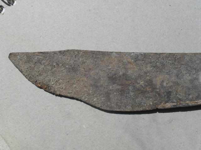 SDC10742.jpg