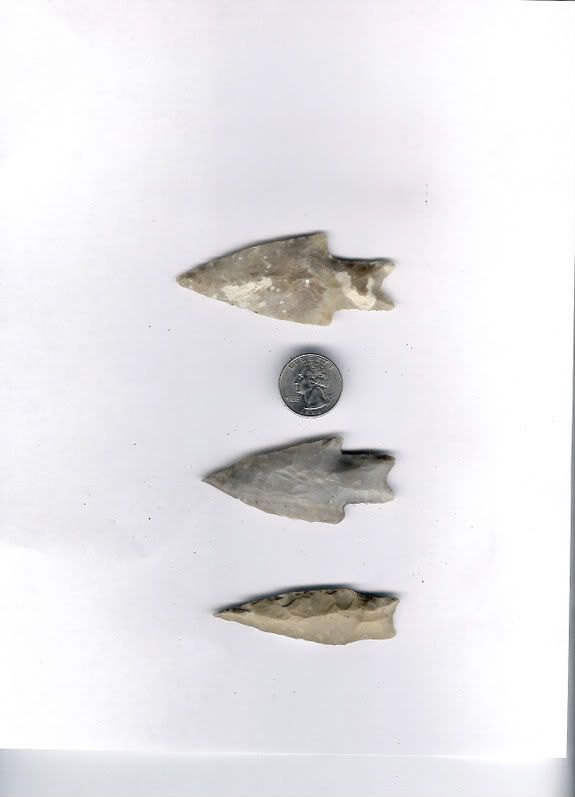 3Perds-2.jpg
