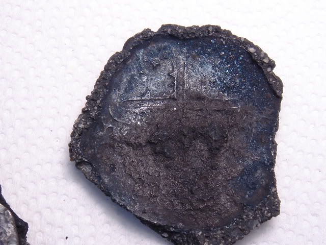 DSC00013.jpg
