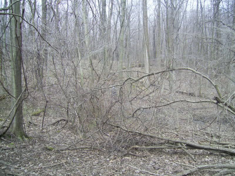 PIC_0111.jpg