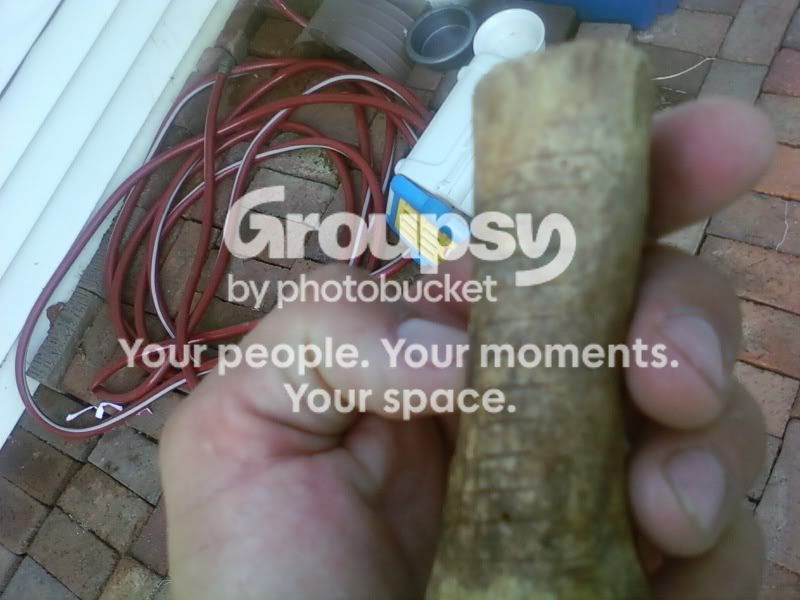 img1250734280201.jpg
