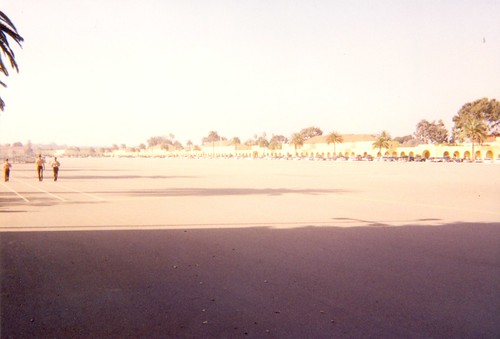 3023698636_0ab7162588.jpg