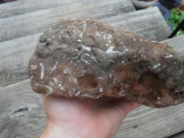 SDC17571.jpg
