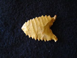 IMG_3975.jpg