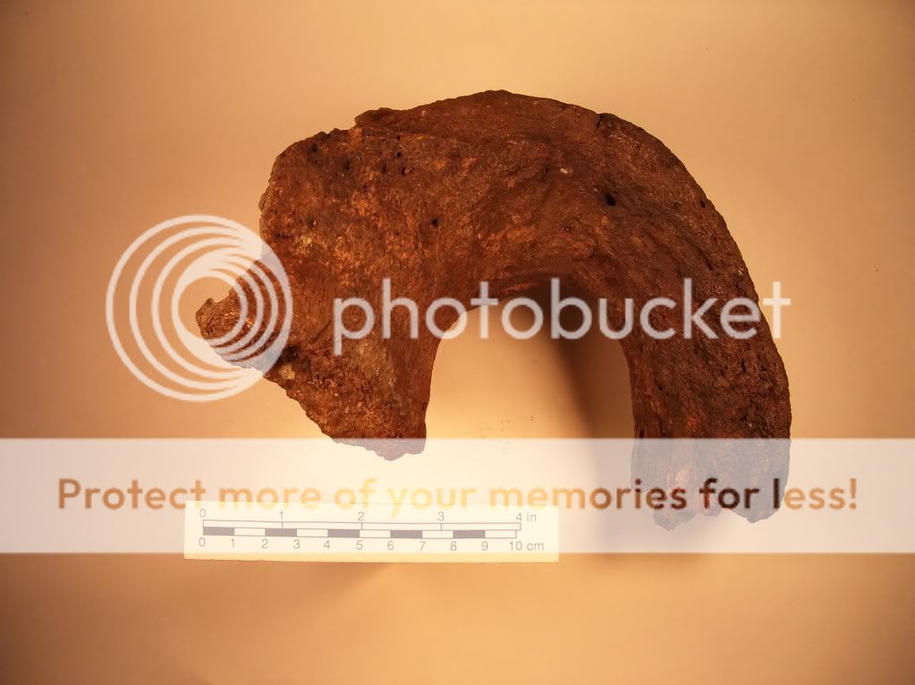 MUSEUMANDMYCOLLECTION141.jpg