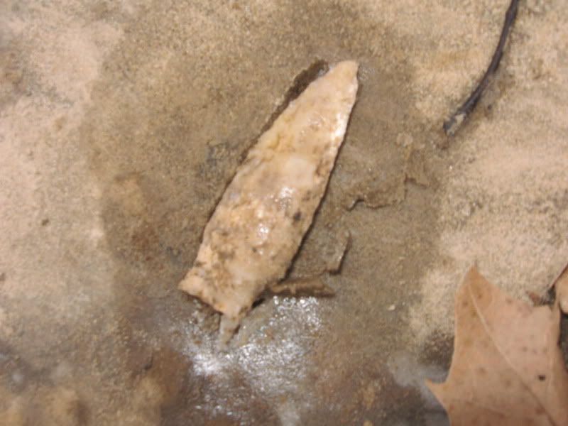 Arrowheads1-29-2010002.jpg