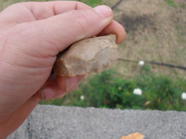 SDC10111.jpg