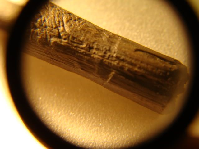 DSC06545.jpg