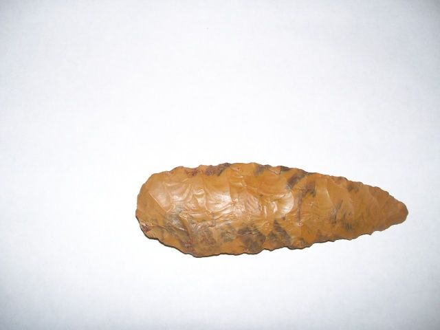 100_1154.jpg