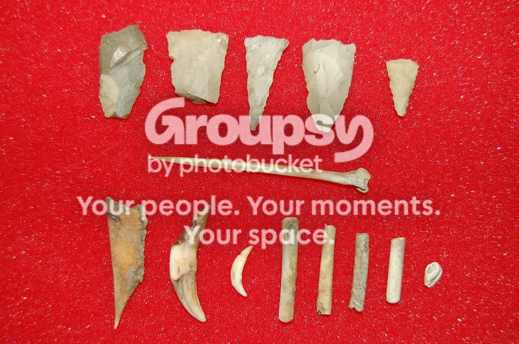 GroovedToothPics2.jpg