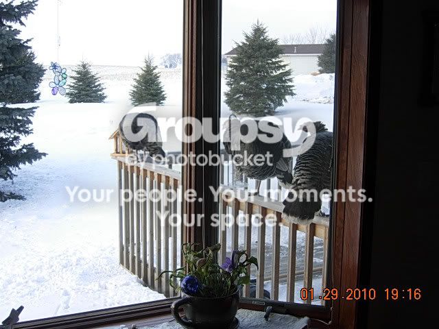 DSCN2513.jpg