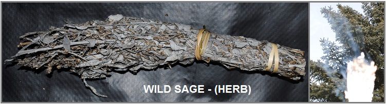 sage_zps0e10cf56.jpg