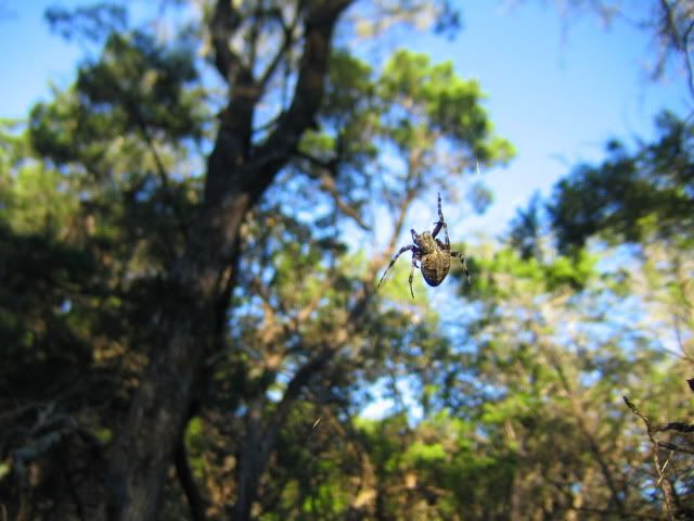 IMG_5149.jpg