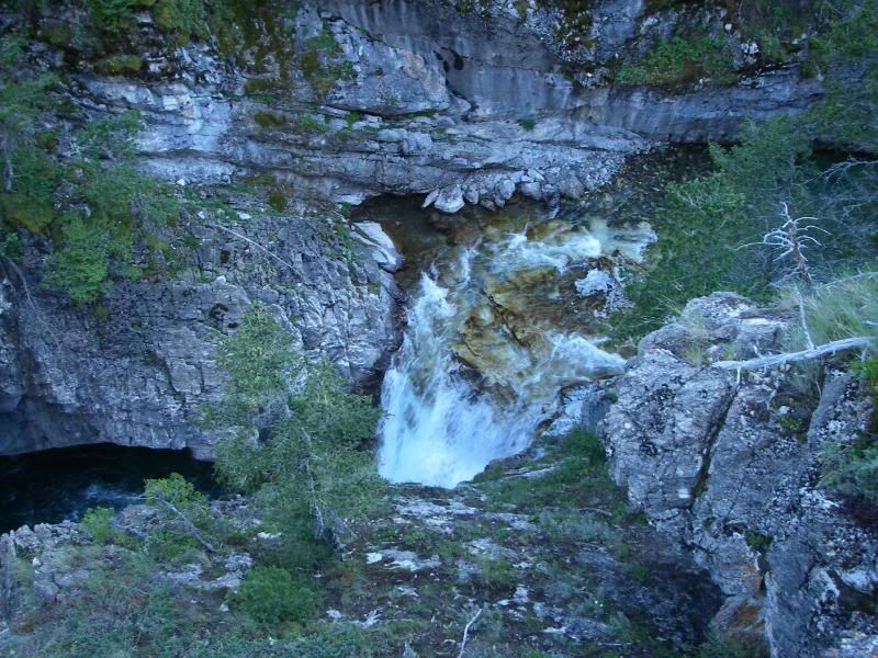 Summer2008378.jpg