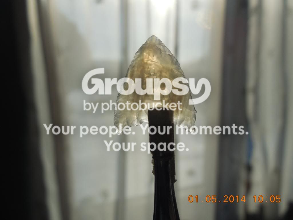 DSCN3657.jpg
