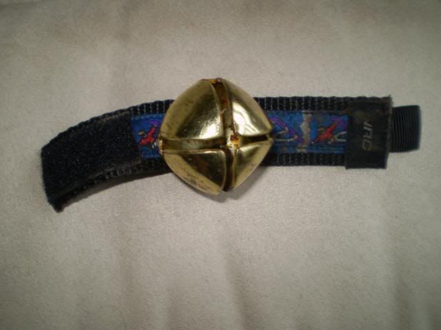 PA260014.jpg
