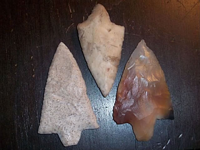 100_2655-1.jpg