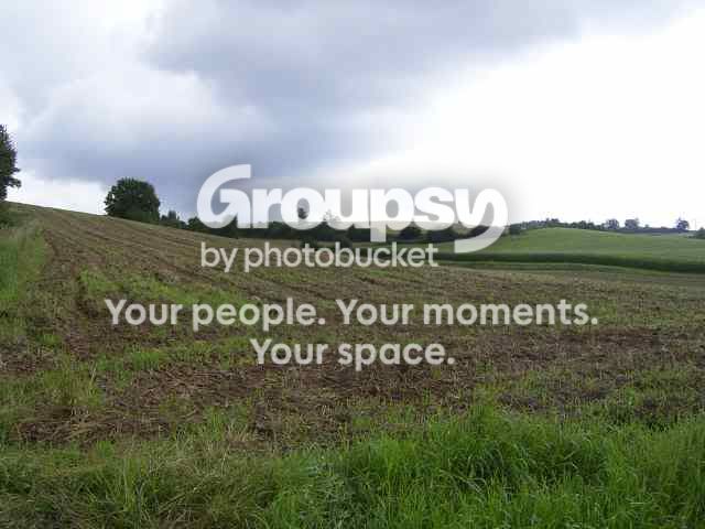14Aug11Kastfield.jpg